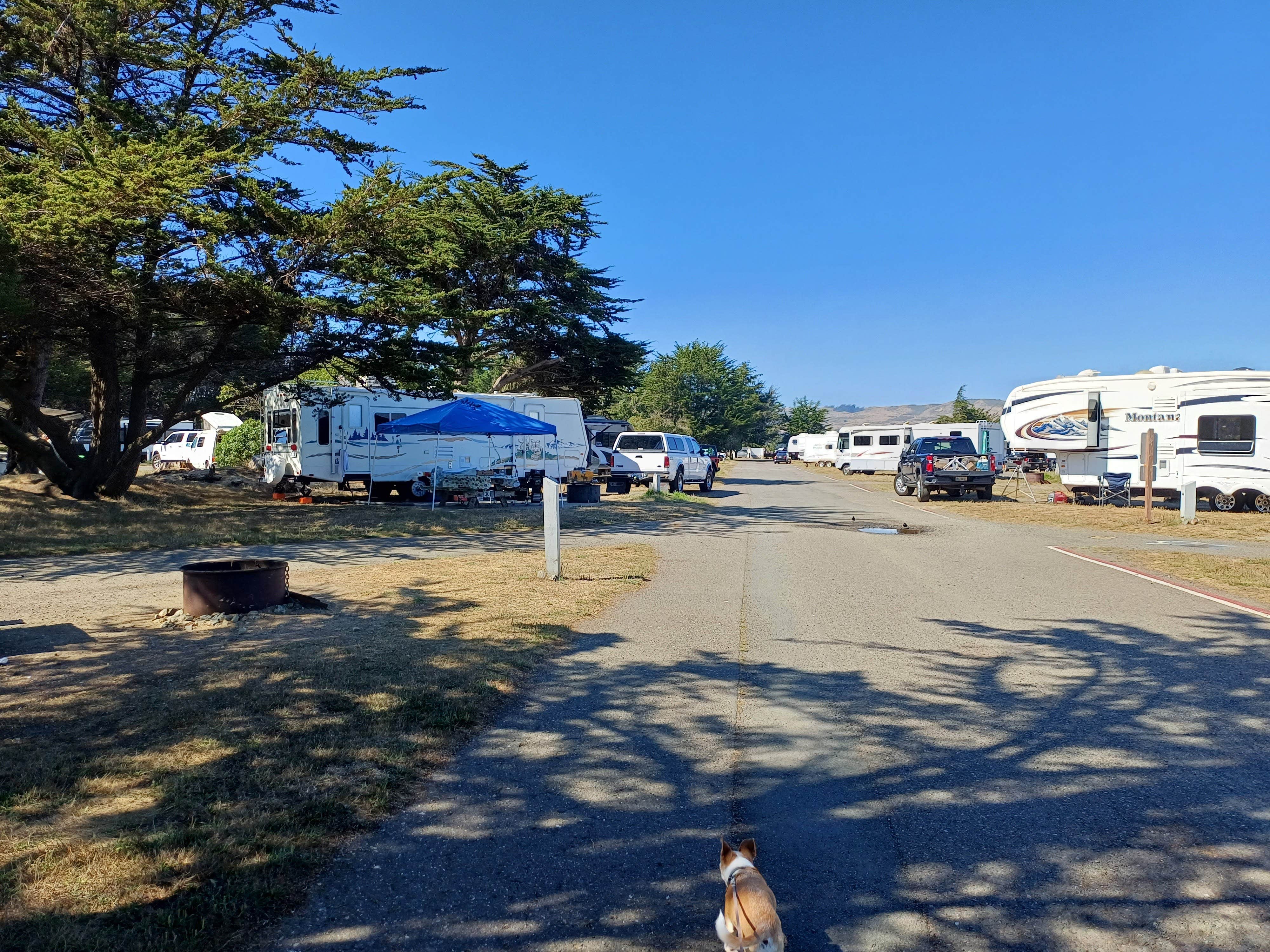 Laura M.'s photo of rv camping at Westside Regional Park near Tomales, CA