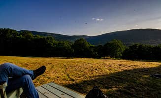 The Dyrt's photo of camping with pets at Eagle Mountain Eyrie near Roxbury, NY