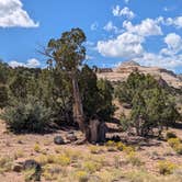 Review photo of Dispersed Campsite Near Capital Reef National Park by DL M., October 1, 2024