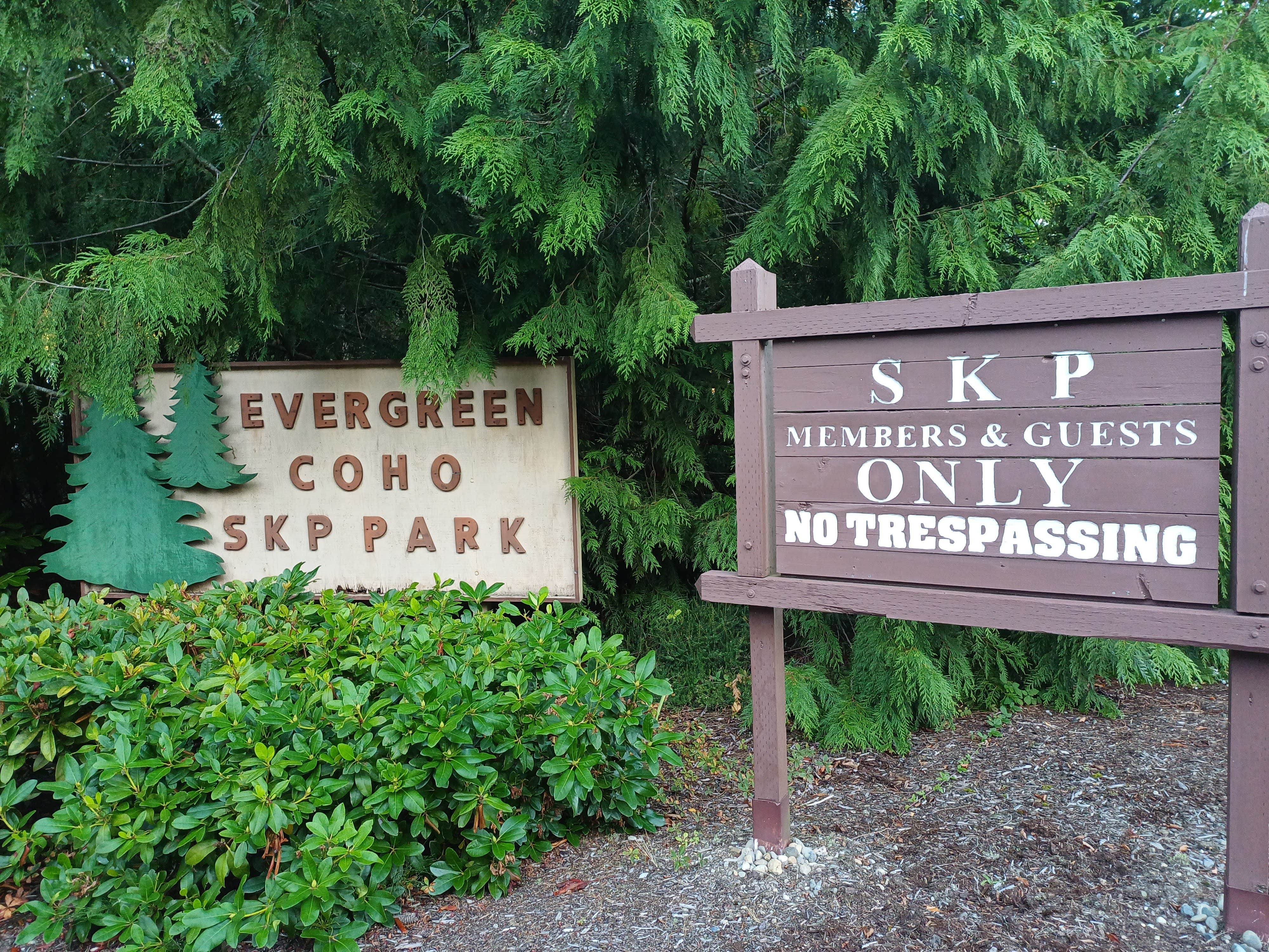 Camper submitted image from Evergreen Coho SKP Park - 5
