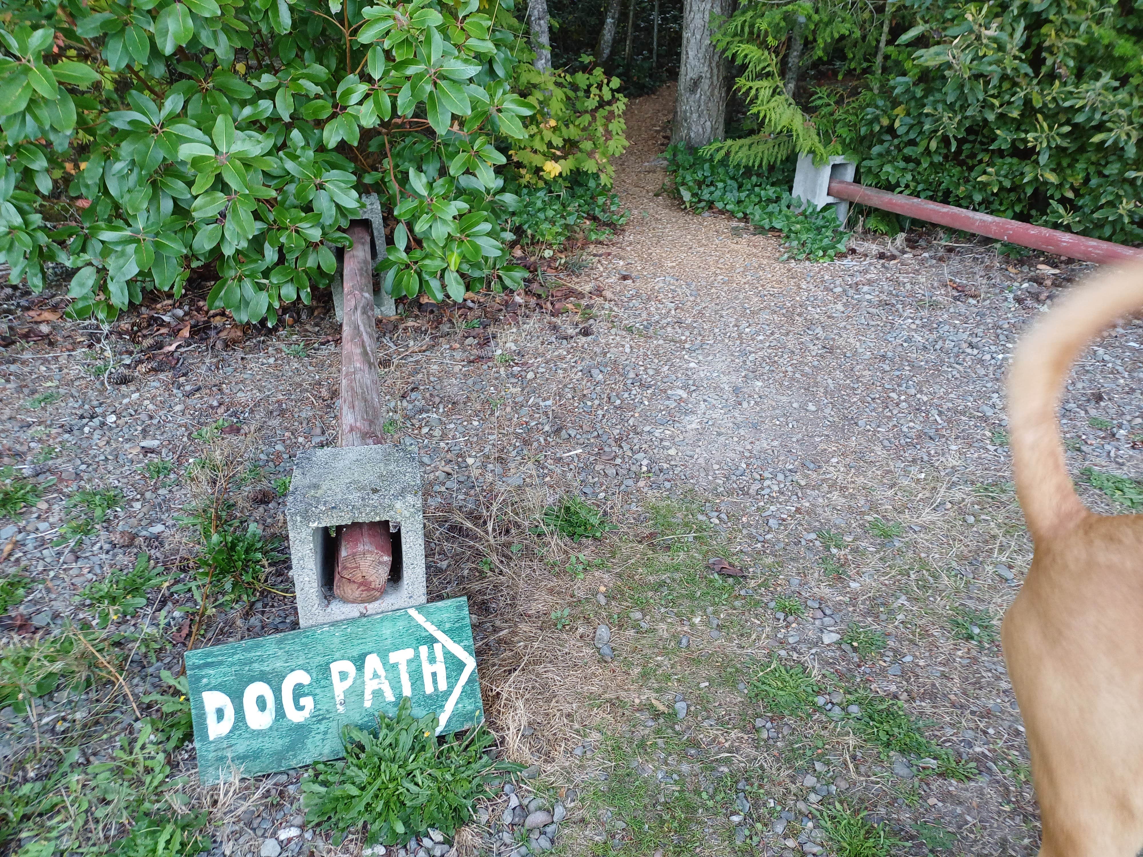Laura M.'s photo of camping with pets at Evergreen Coho SKP Park near Silverdale, WA