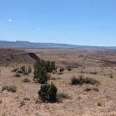 Review photo of Large Dispersed Campsite off BLM 0151 on E Pleasant Creek Diversion Rd/Notom Rd by DL M., October 1, 2024