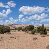 Review photo of Large Dispersed Campsite off BLM 0151 on E Pleasant Creek Diversion Rd/Notom Rd by DL M., October 1, 2024