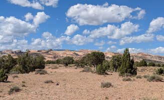 DL M.'s photo of a dispersed camping area at Large Dispersed Campsite off BLM 0151 on E Pleasant Creek Diversion Rd/Notom Rd near Eggnog, UT