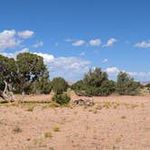 Review photo of Large Dispersed Campsite off BLM 0151 on E Pleasant Creek Diversion Rd/Notom Rd by DL M., October 1, 2024