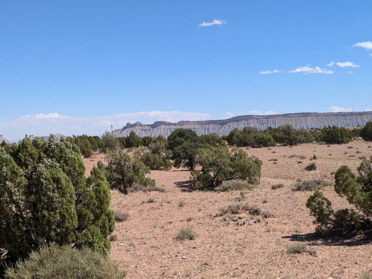 Camper-submitted photo at Large Dispersed Campsite off BLM 0151 on E Pleasant Creek Diversion Rd/Notom Rd near Capitol Reef National Park