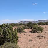 Review photo of Large Dispersed Campsite off BLM 0151 on E Pleasant Creek Diversion Rd/Notom Rd by DL M., October 1, 2024