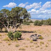 Review photo of Large Dispersed Campsite off BLM 0151 on E Pleasant Creek Diversion Rd/Notom Rd by DL M., October 1, 2024