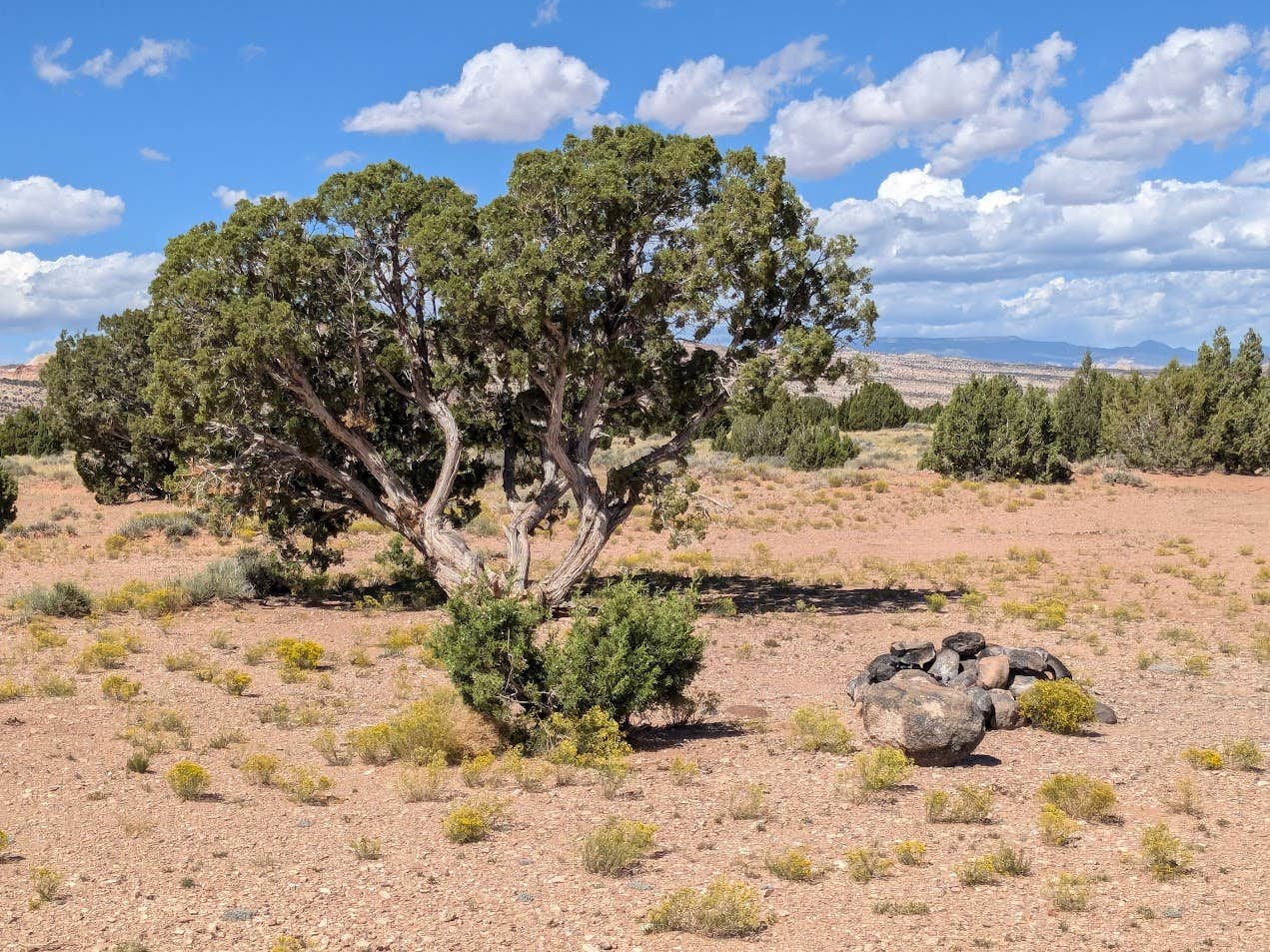 Camper submitted image from Large Dispersed Campsite off BLM 0151 on E Pleasant Creek Diversion Rd/Notom Rd - 1