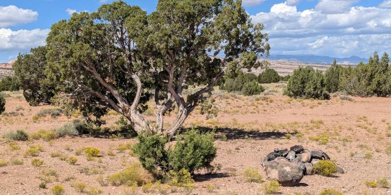 Camper submitted image from Large Dispersed Campsite off BLM 0151 on E Pleasant Creek Diversion Rd/Notom Rd