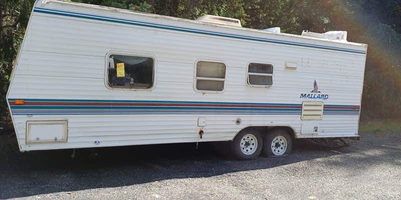 Camper submitted image from Silver Springs Sno Park