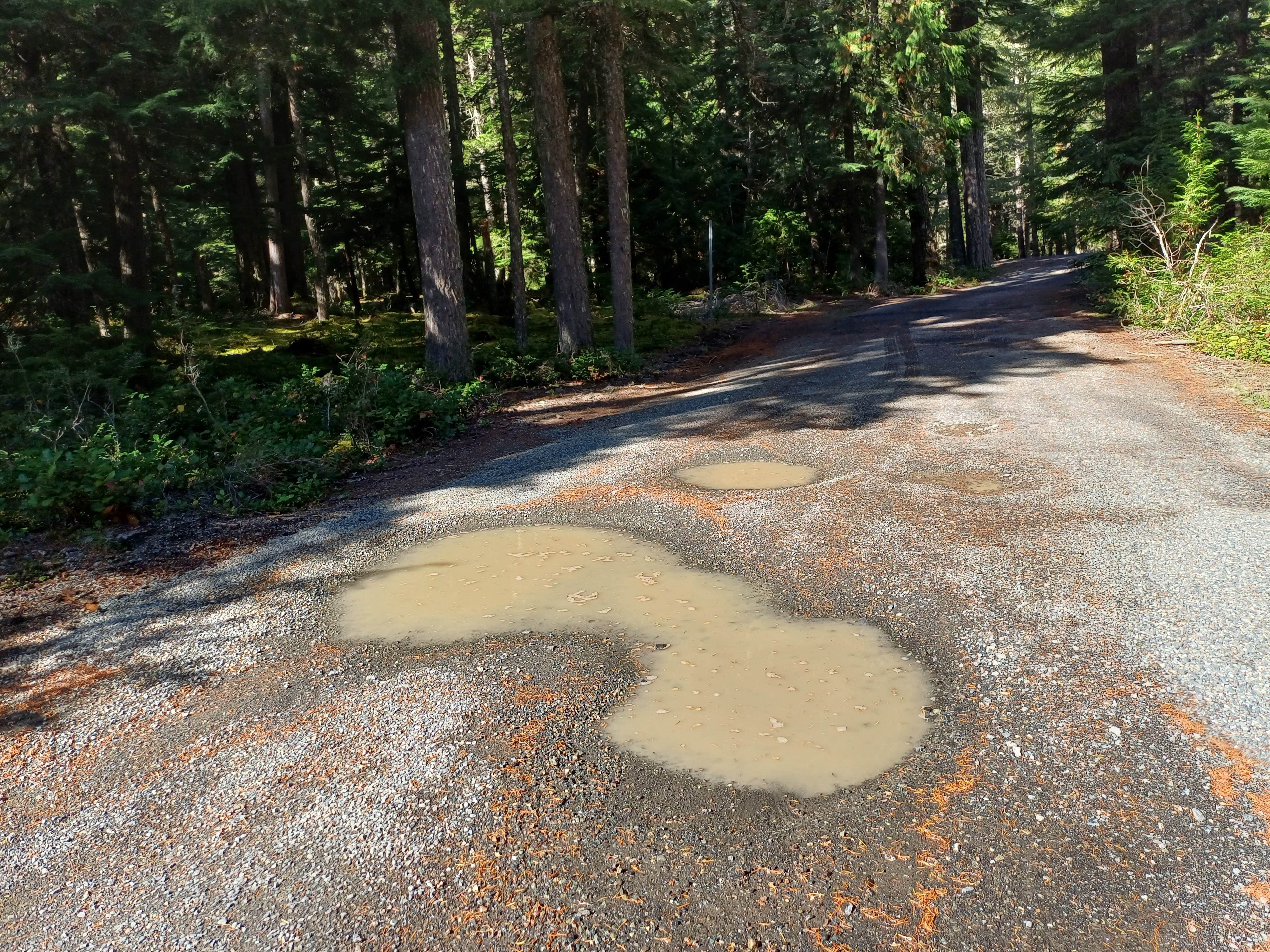 Camper submitted image from Silver Springs Sno Park - 2