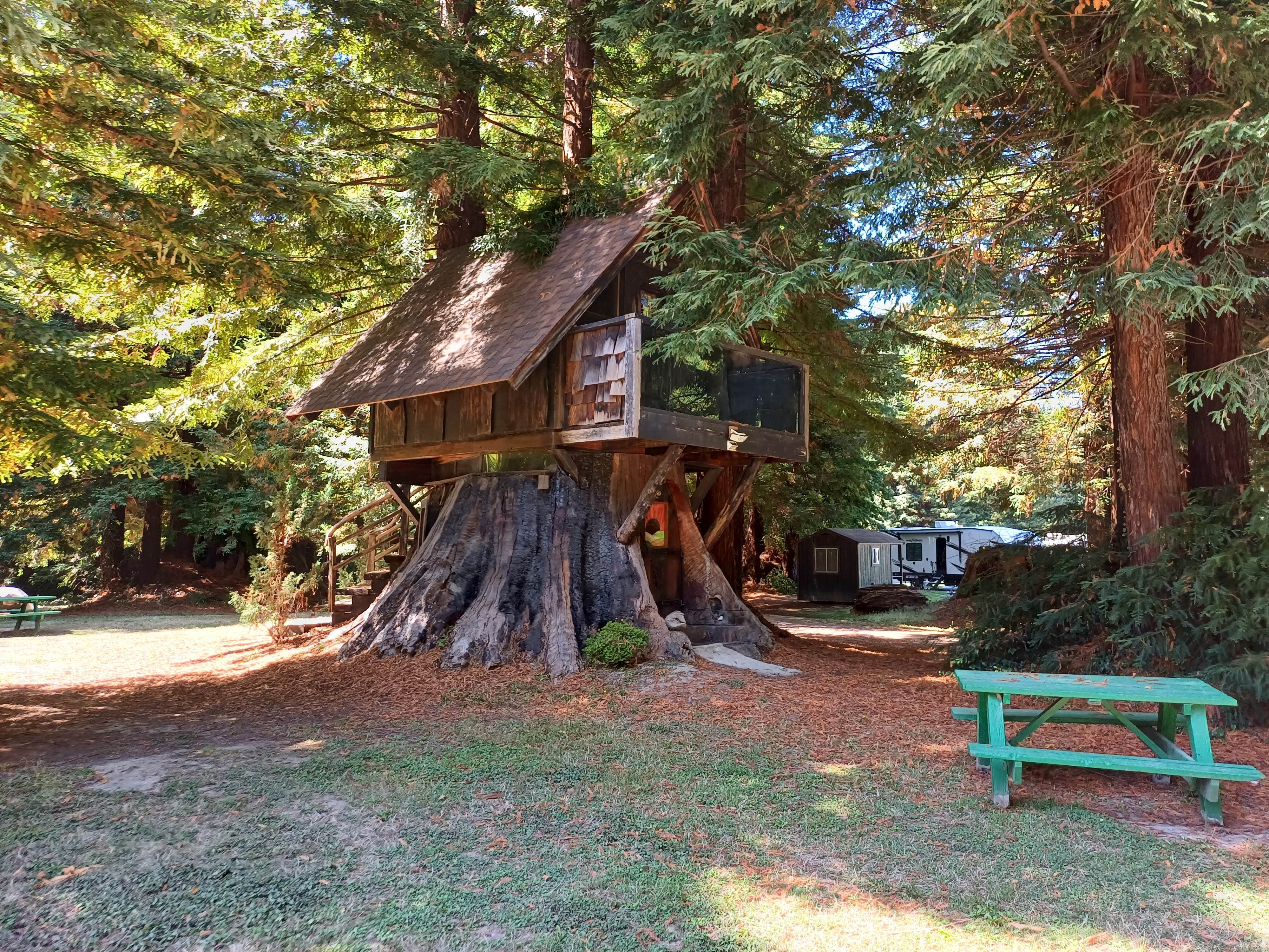 Laura M.'s photo of a cabin at Stafford RV Park near Hayfork, CA