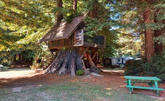 Laura M.'s photo of a cabin at Stafford RV Park near Trinidad, CA