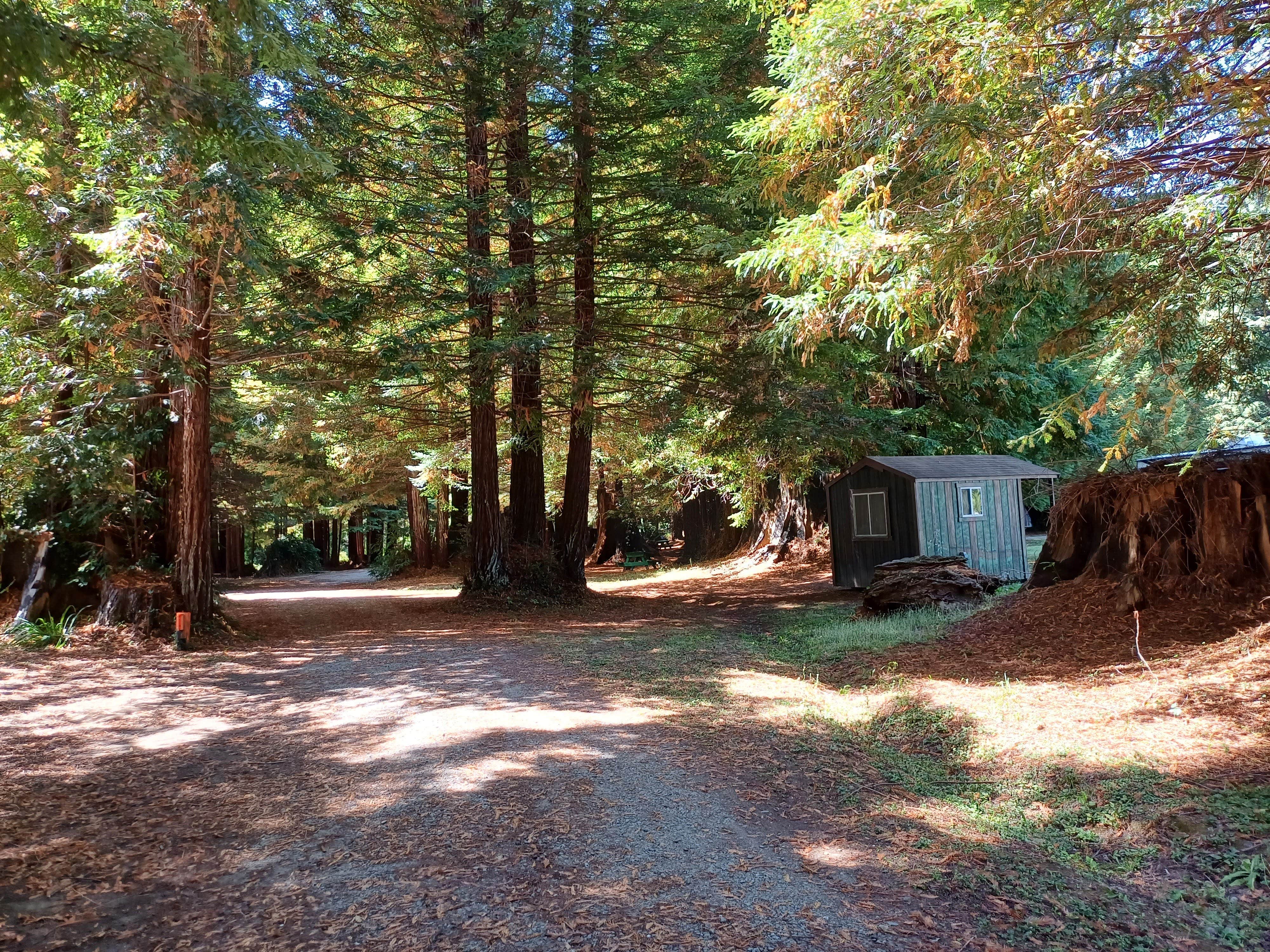 Laura M.'s photo of glamping accommodations at Stafford RV Park near Weott, CA