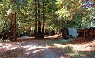 Laura M.'s photo of glamping accommodations at Stafford RV Park near Leggett, CA