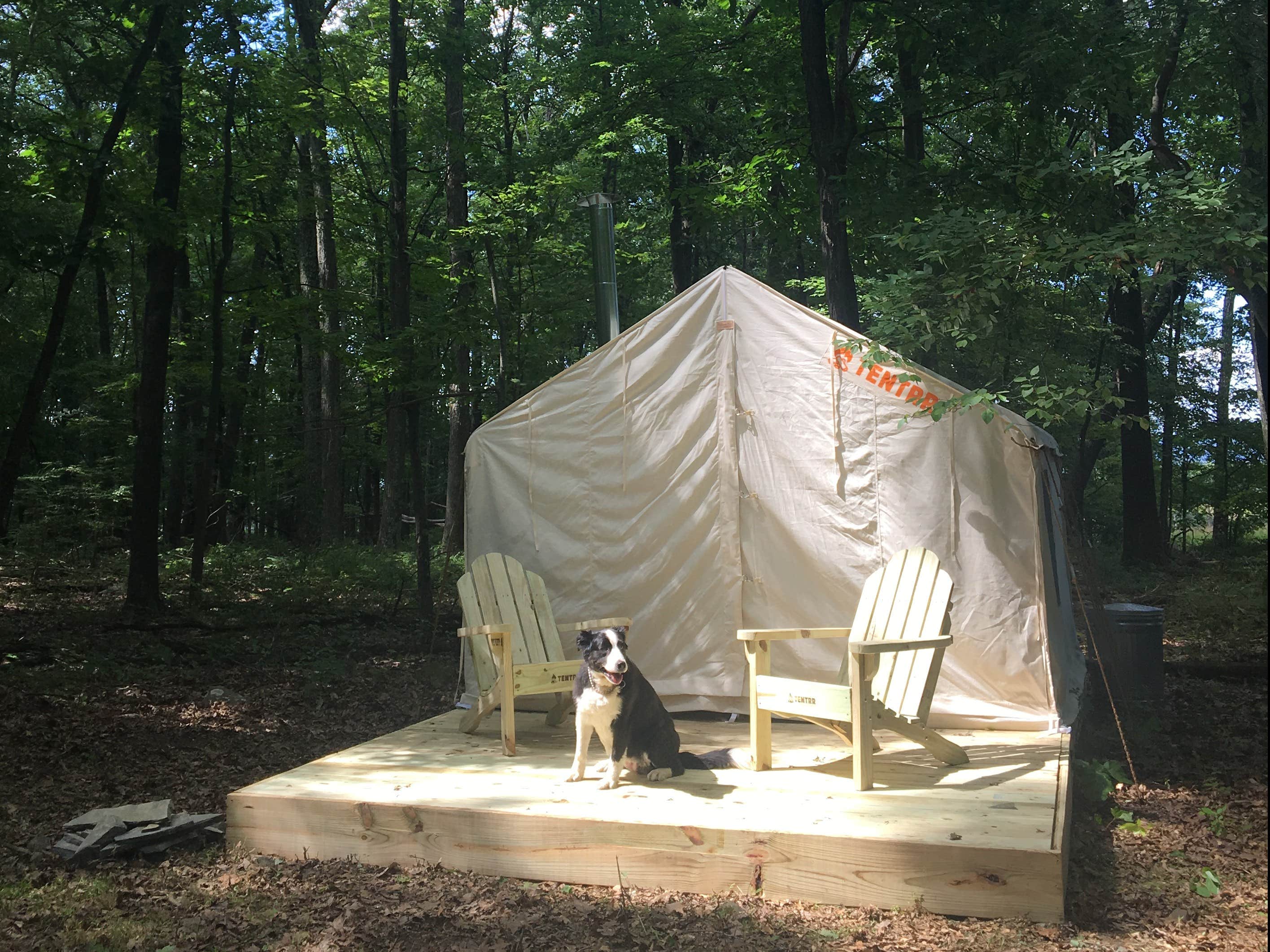 The Dyrt's photo at Camp Toasty Marshmallow near Benton, PA