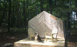 The Dyrt's photo at Camp Toasty Marshmallow near Wyoming, PA