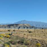 Review photo of Dispersed CS with a view of Grand Gulch Trail high above Halls Creek by DL M., October 1, 2024