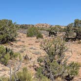 Review photo of Dispersed CS with a view of Grand Gulch Trail high above Halls Creek by DL M., October 1, 2024