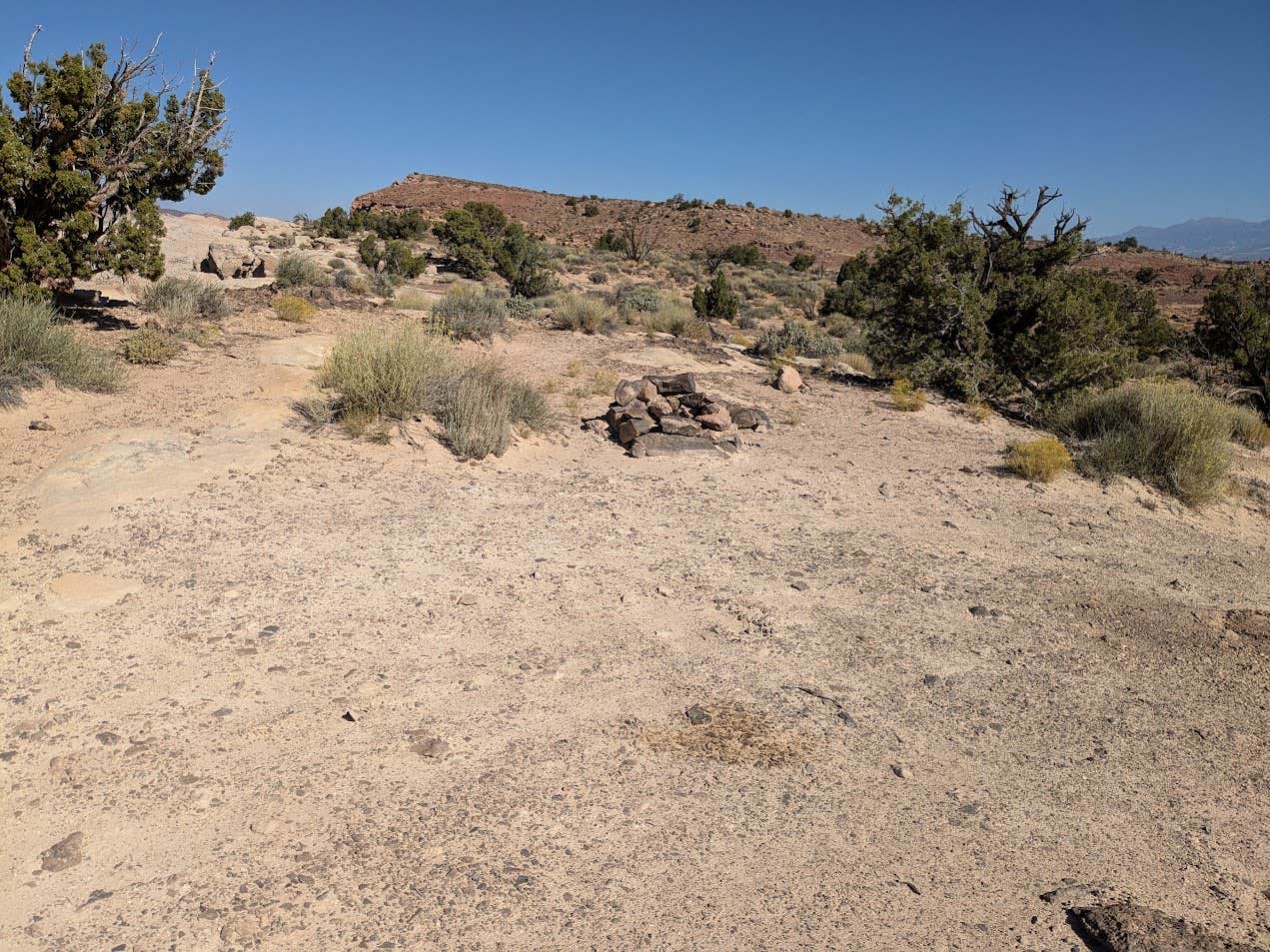 Camper submitted image from Dispersed CS with a view of Grand Gulch Trail high above Halls Creek - 1