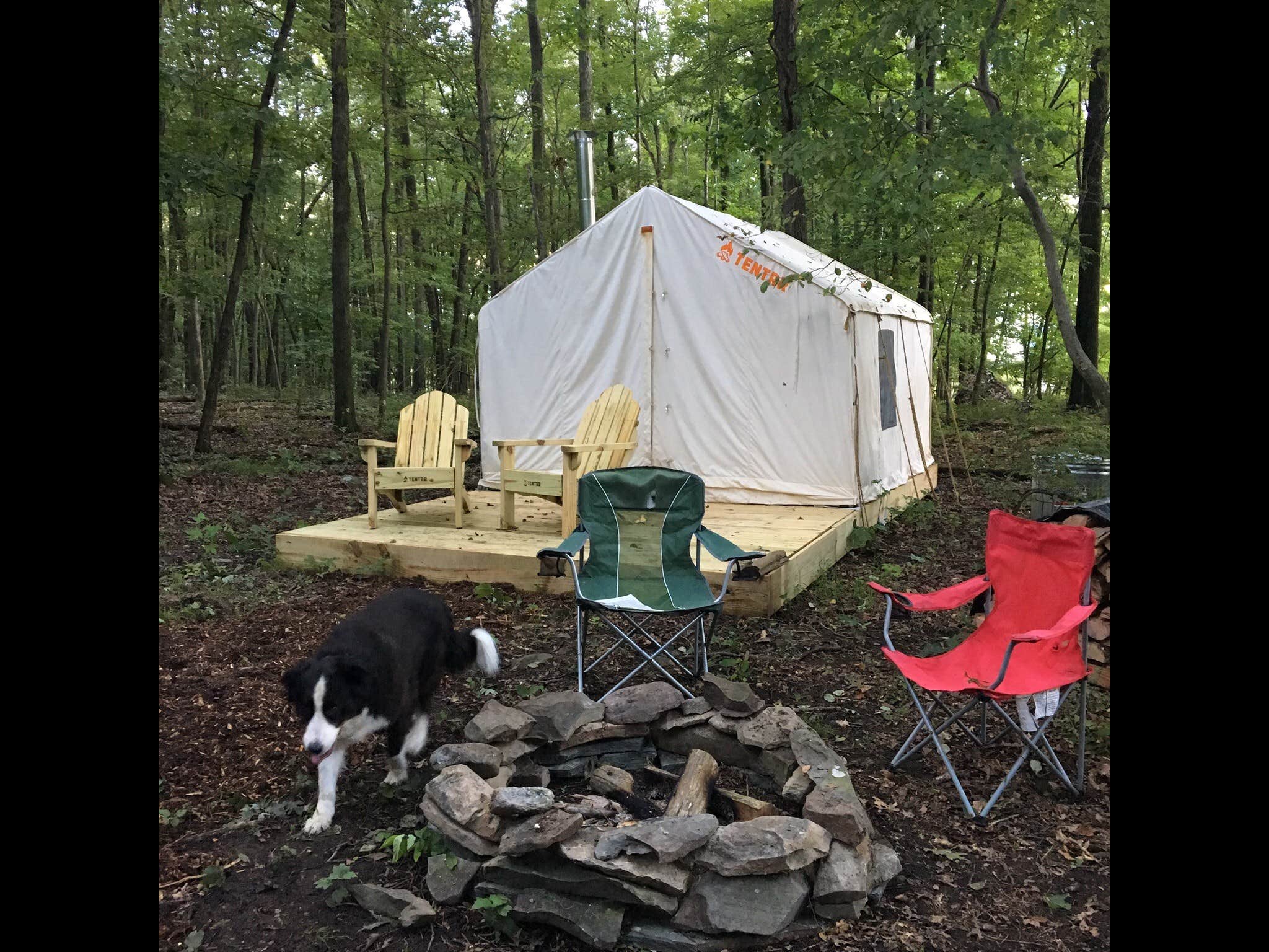 The Dyrt's photo at Camp Toasty Marshmallow near Mahanoy City, PA