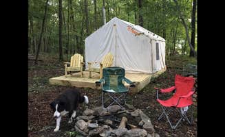 The Dyrt's photo at Camp Toasty Marshmallow near Benton, PA