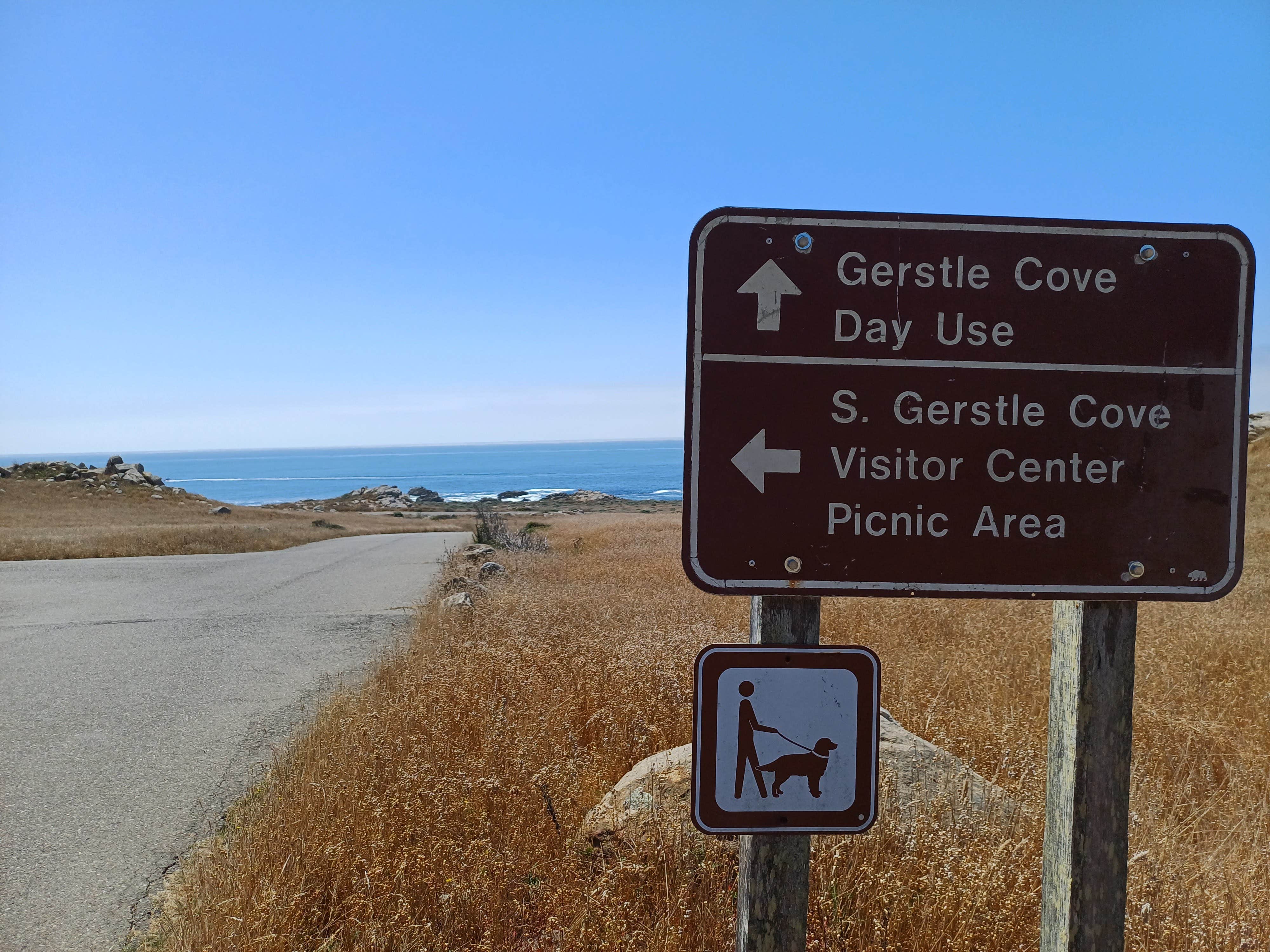 Laura M.'s photo of camping with pets at Salt Point State Park Campground near The Sea Ranch, CA