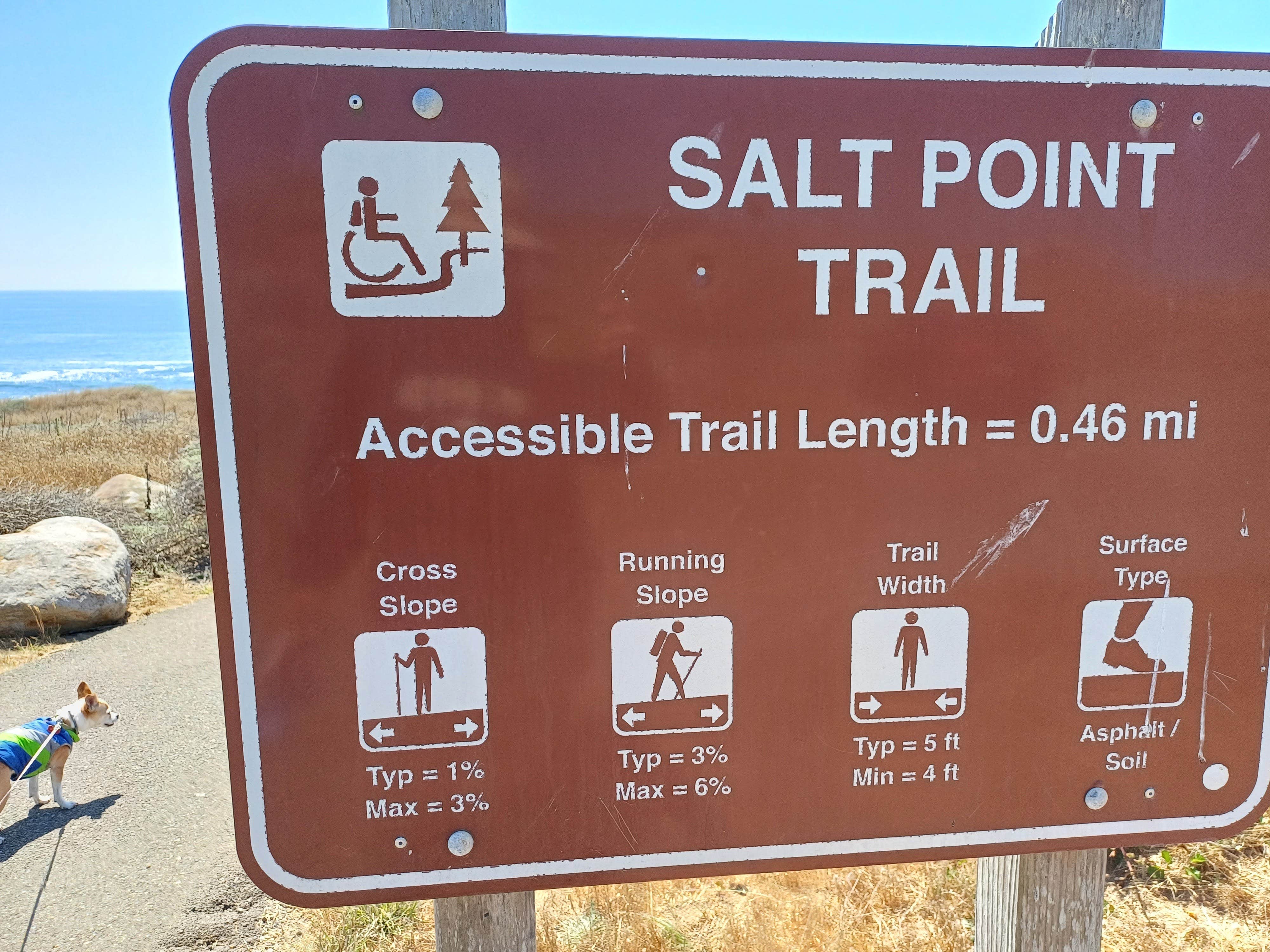 Laura M.'s photo of camping with pets at Salt Point State Park Campground near Cloverdale, CA