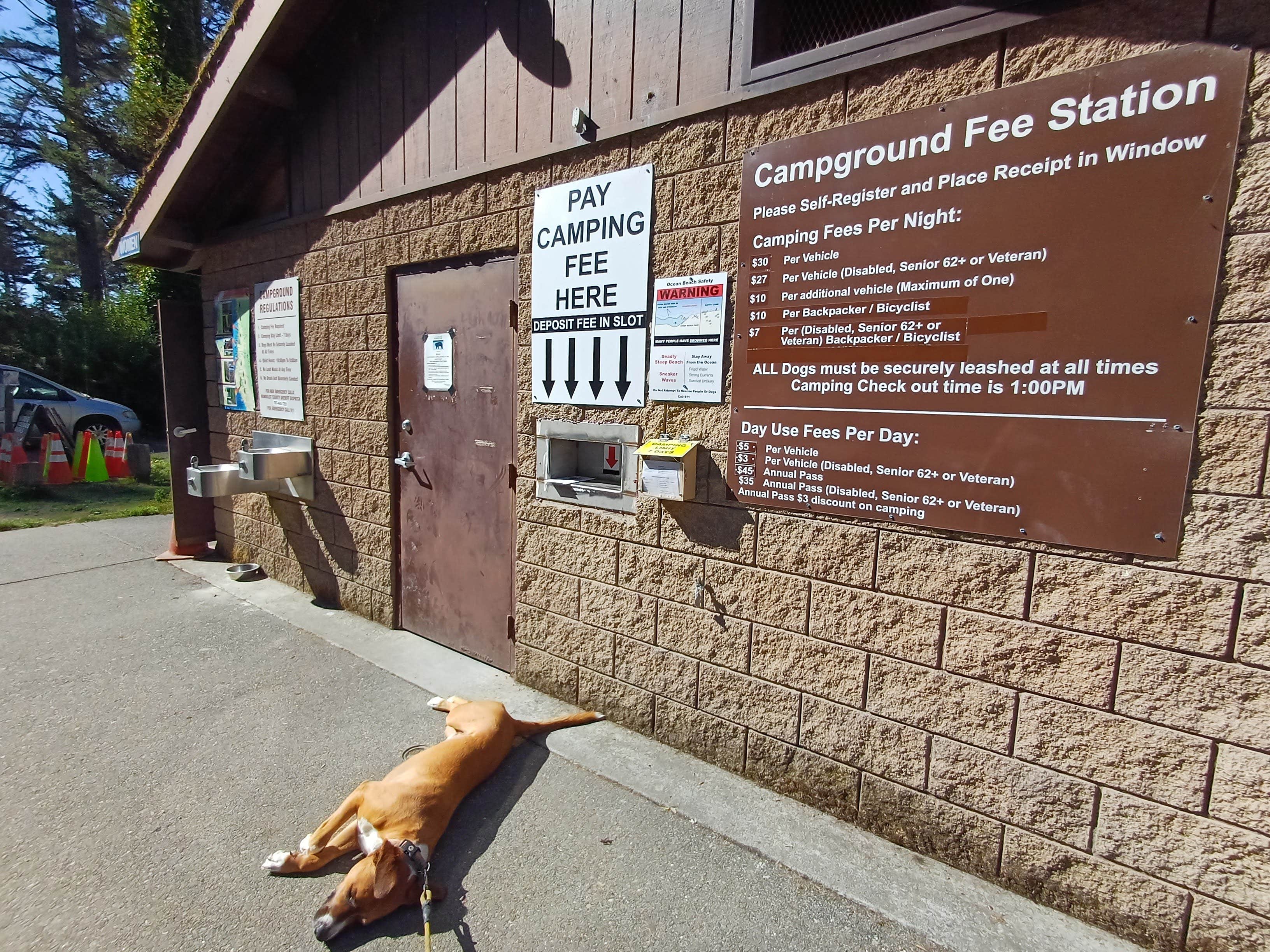 Laura M.'s photo of camping with pets at Big Lagoon County Park near Six Rivers National Forest