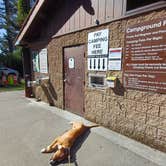 Review photo of Big Lagoon County Park by Laura M., October 1, 2024