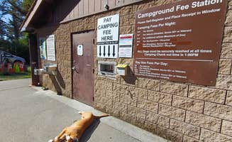 Laura M.'s photo of camping with pets at Big Lagoon County Park near Redwood National Park