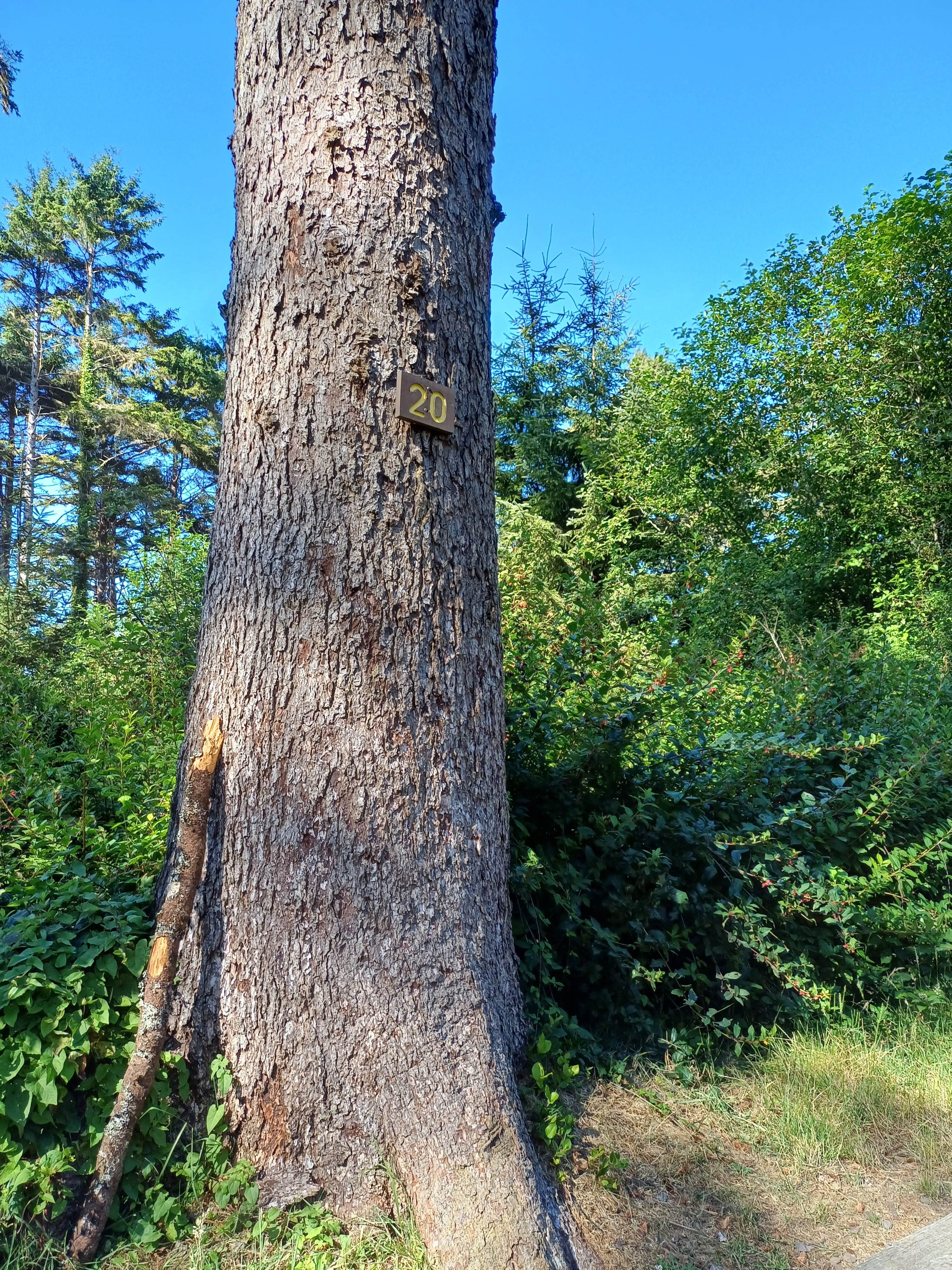 Camper-submitted photo at Big Lagoon County Park near Essex, CA