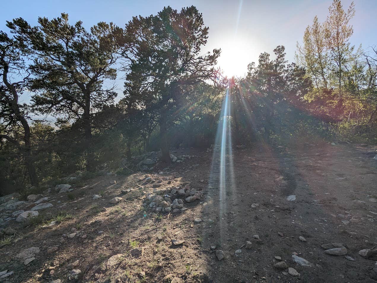 DL M.'s photo of a dispersed camping area at Mountainside 4WD High-Clearance Dispersed Campsites near La Veta, CO