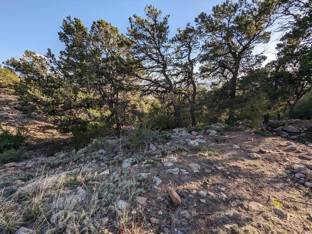 Camper-submitted photo at Mountainside 4WD High-Clearance Dispersed Campsites near Alamosa, CO