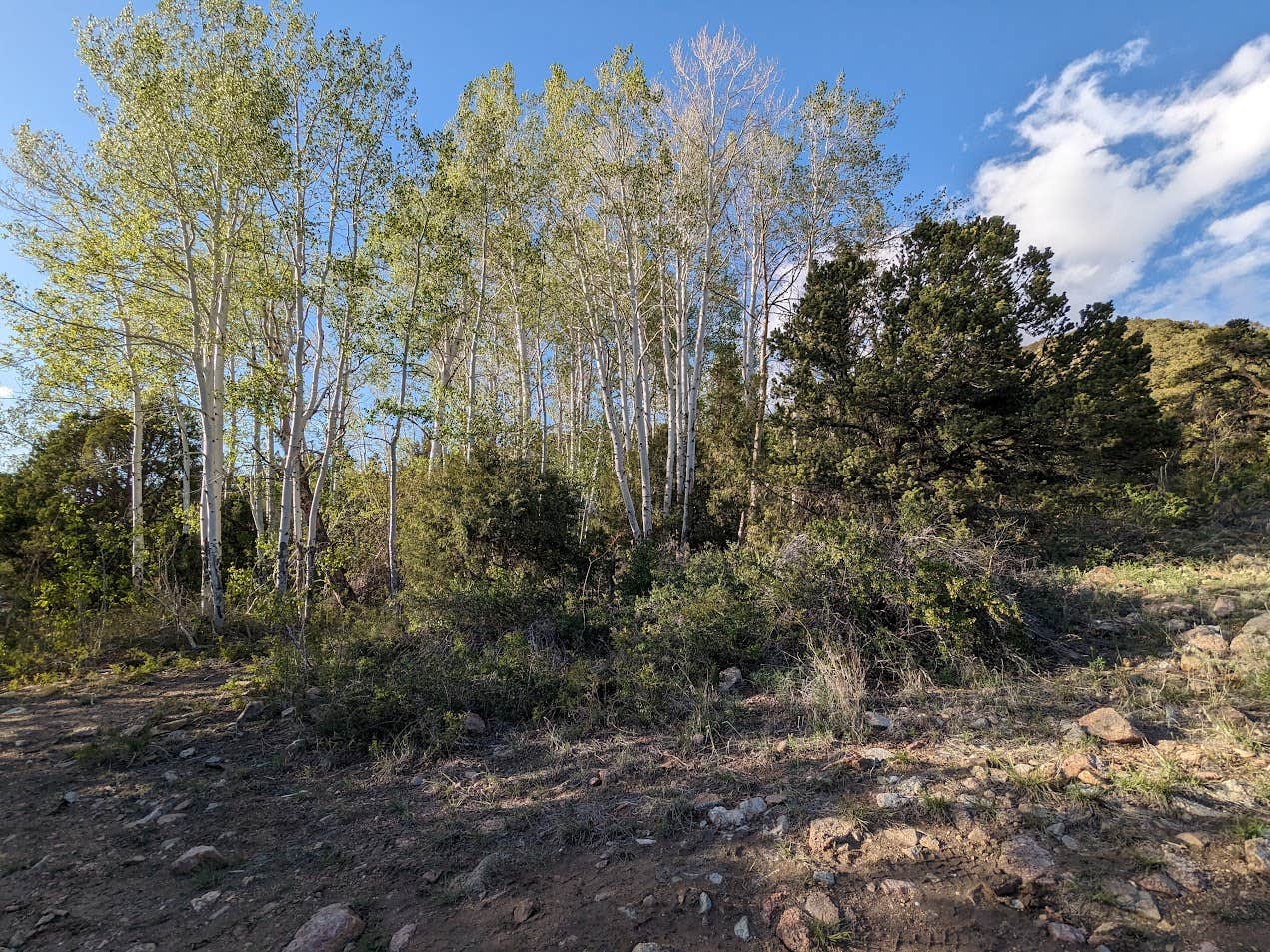 Camping near Lake Como Rd BLM: Mountainside 4WD High-Clearance Dispersed Campsites, Blanca, Colorado