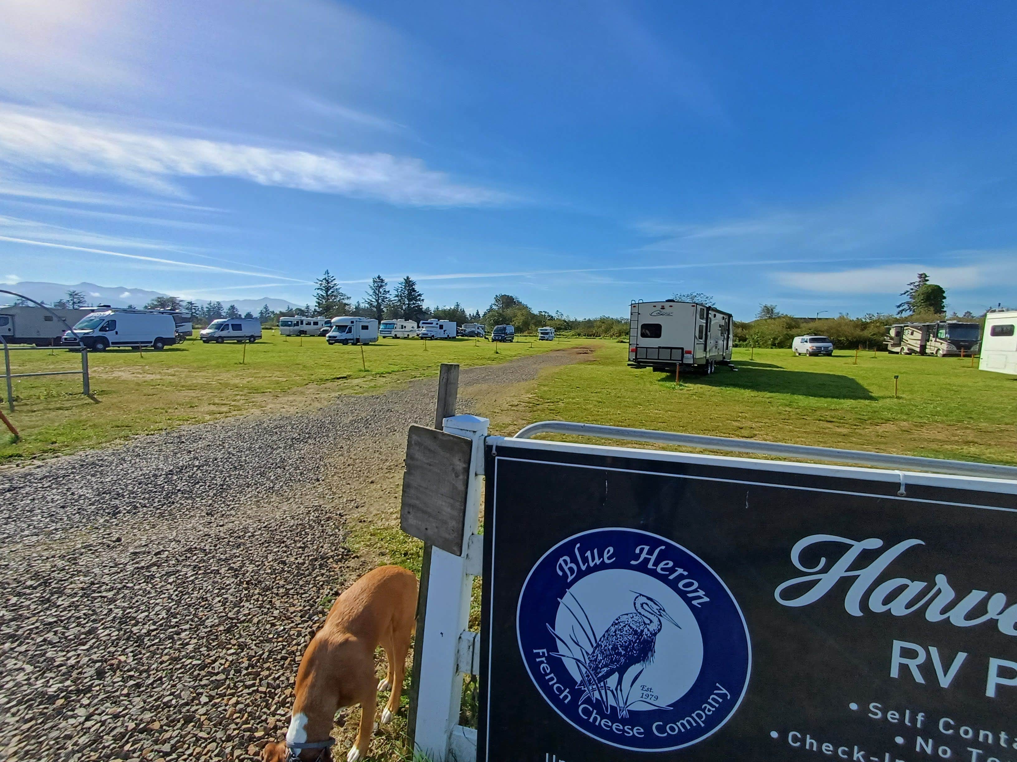 Laura M.'s photo of rv camping at Blue Heron Cheese Factory near Cannon Beach, OR