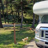 Review photo of Humbug Campground by Laura M., October 1, 2024