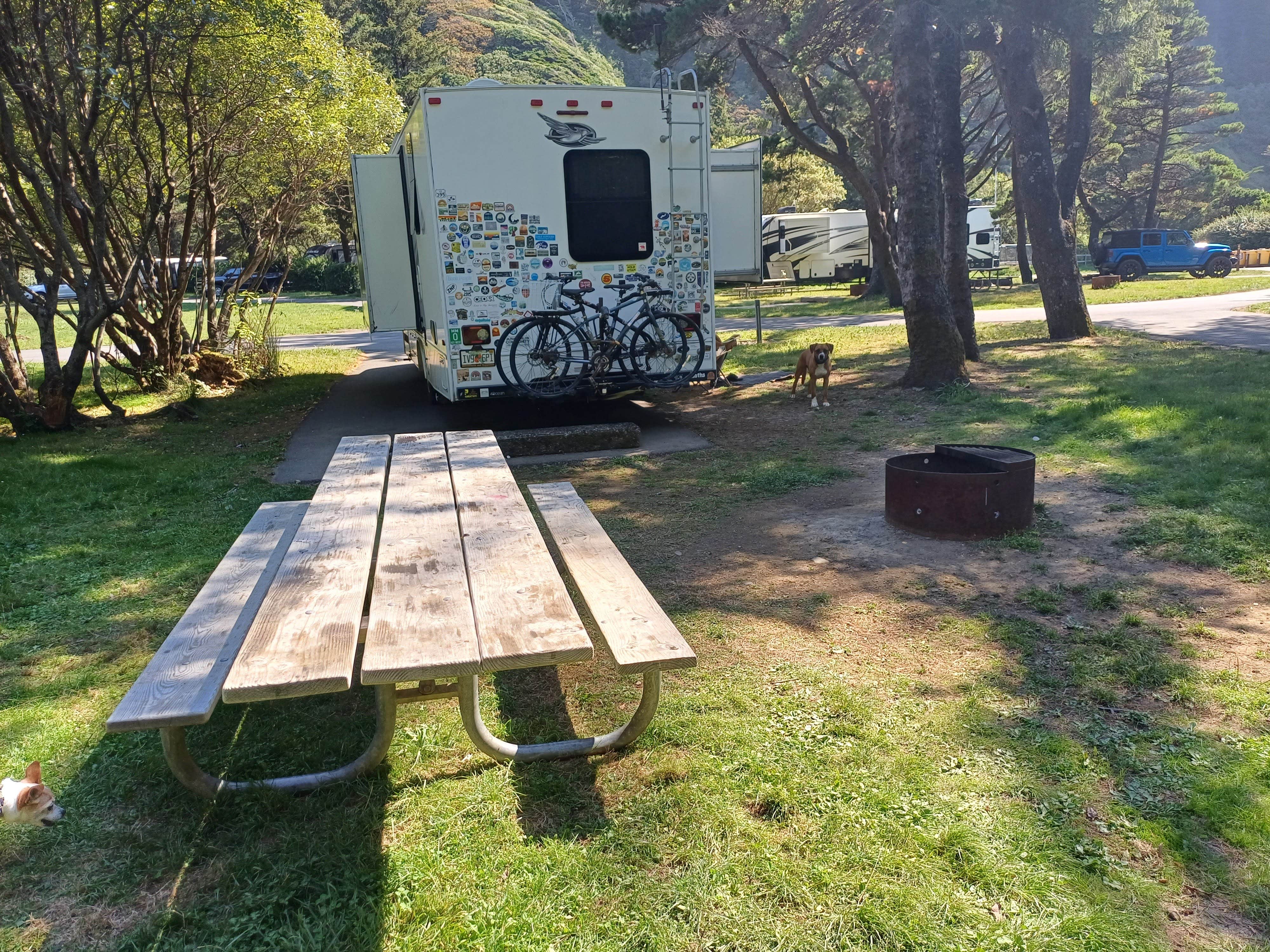 Laura M.'s photo of camping with pets at Humbug Campground near Gates, OR