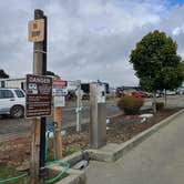 Review photo of Port of Siuslaw Campground & Marina by Laura M., October 1, 2024