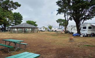 Laura M.'s photo at Port of Siuslaw Campground & Marina near Mapleton, OR
