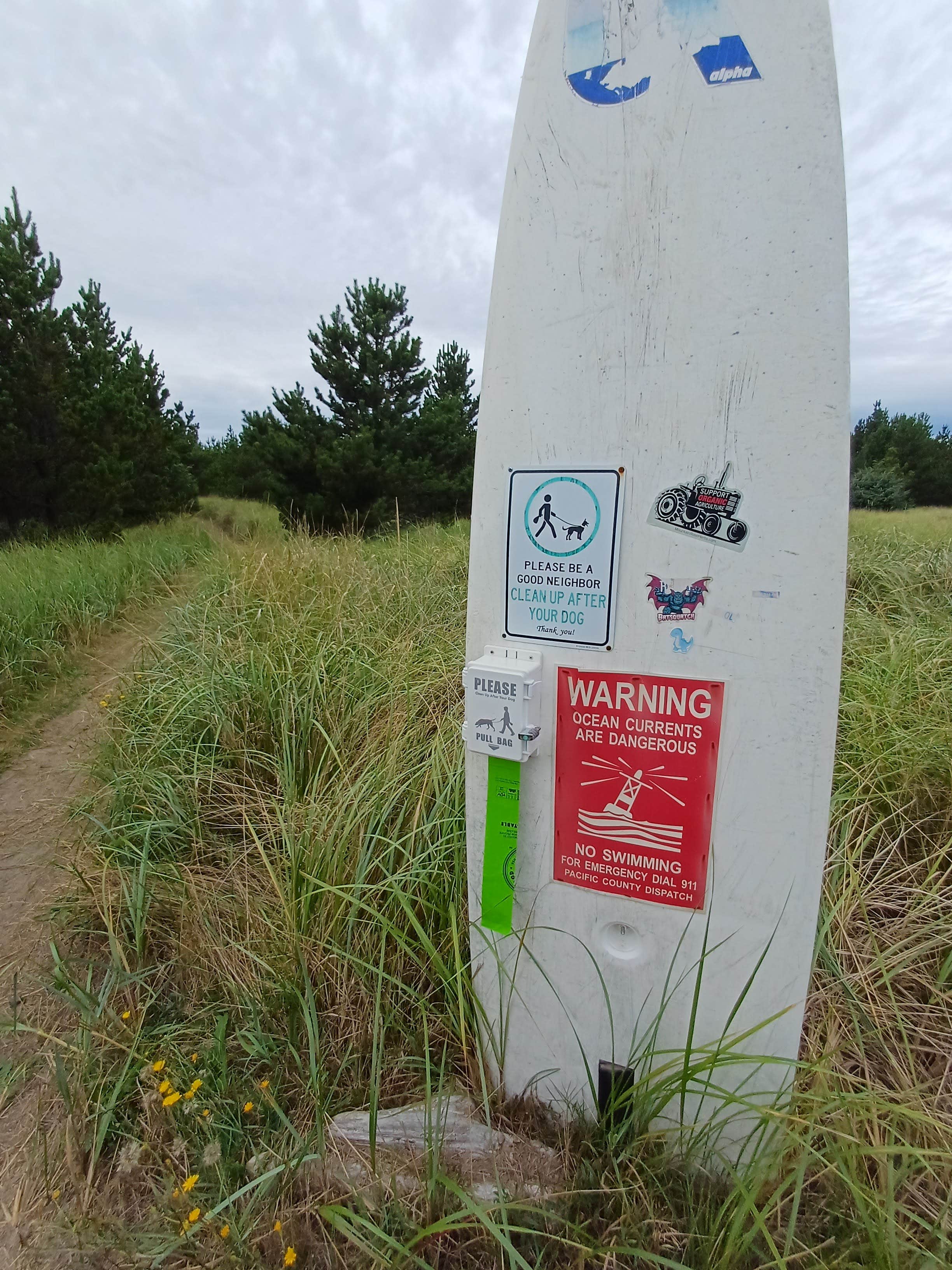 Camper-submitted photo at Cedar to Surf Campground near Ocean Park, WA