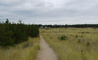 Laura M.'s photo of camping with pets at Cedar to Surf Campground near Astoria, OR