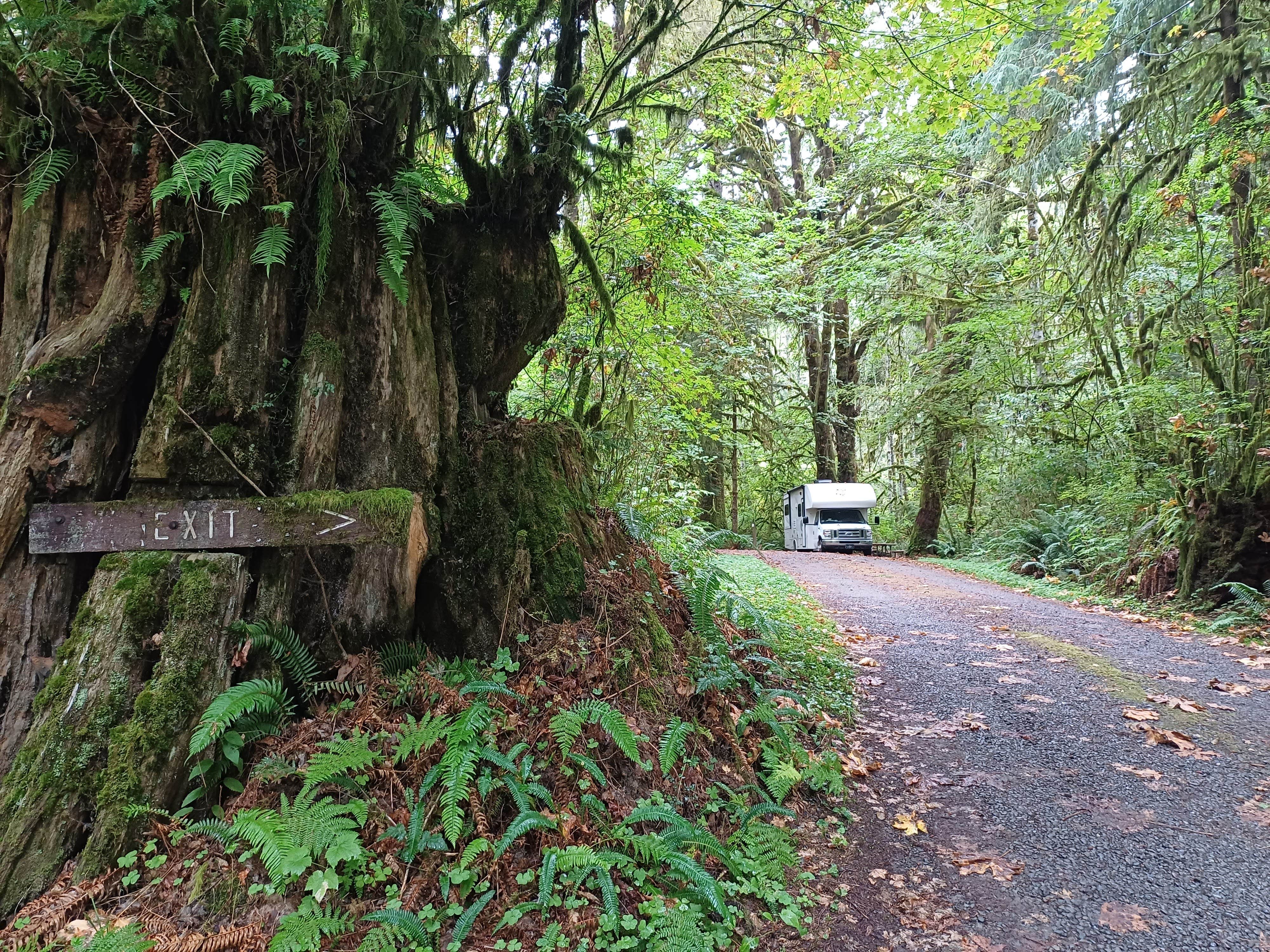 Camper submitted image from Minnie Peterson Campground - 5