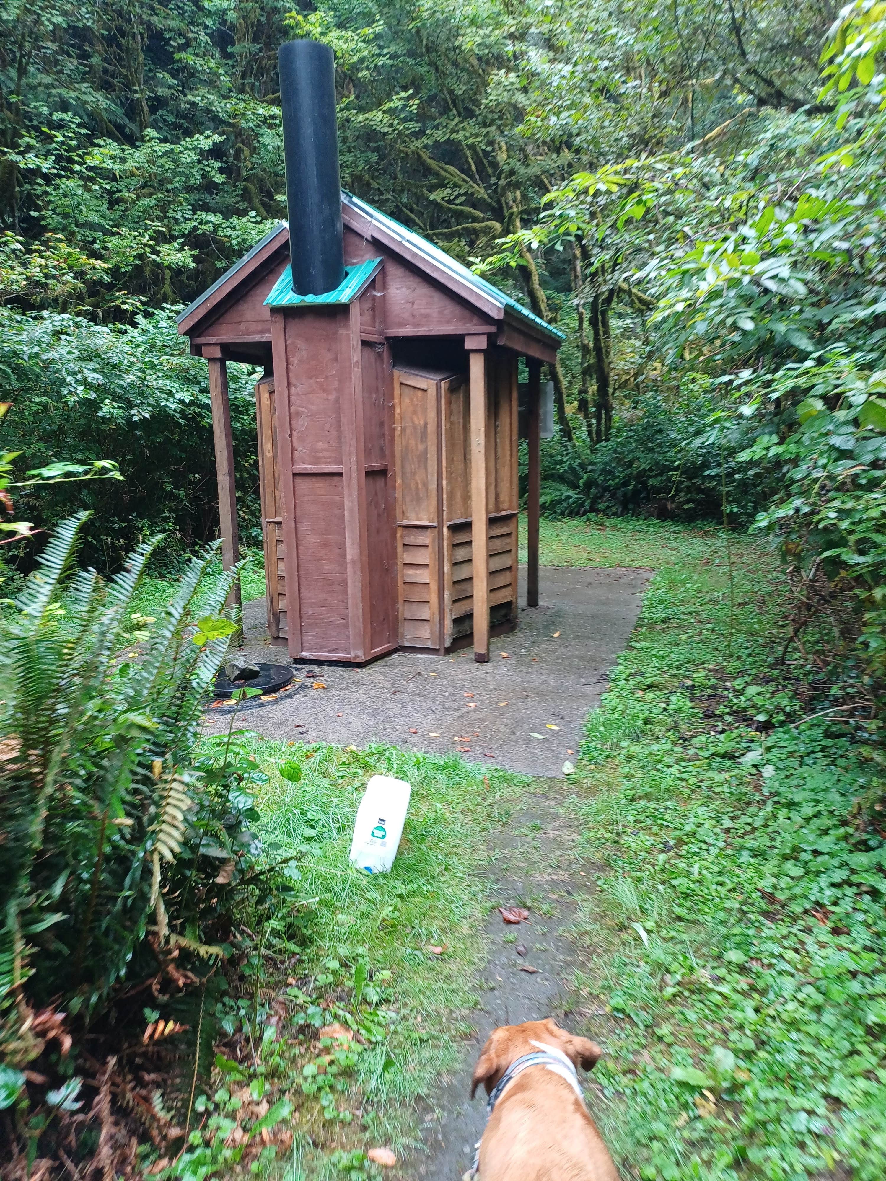 Laura M.'s photo of camping with pets at Minnie Peterson Campground near Forks, WA