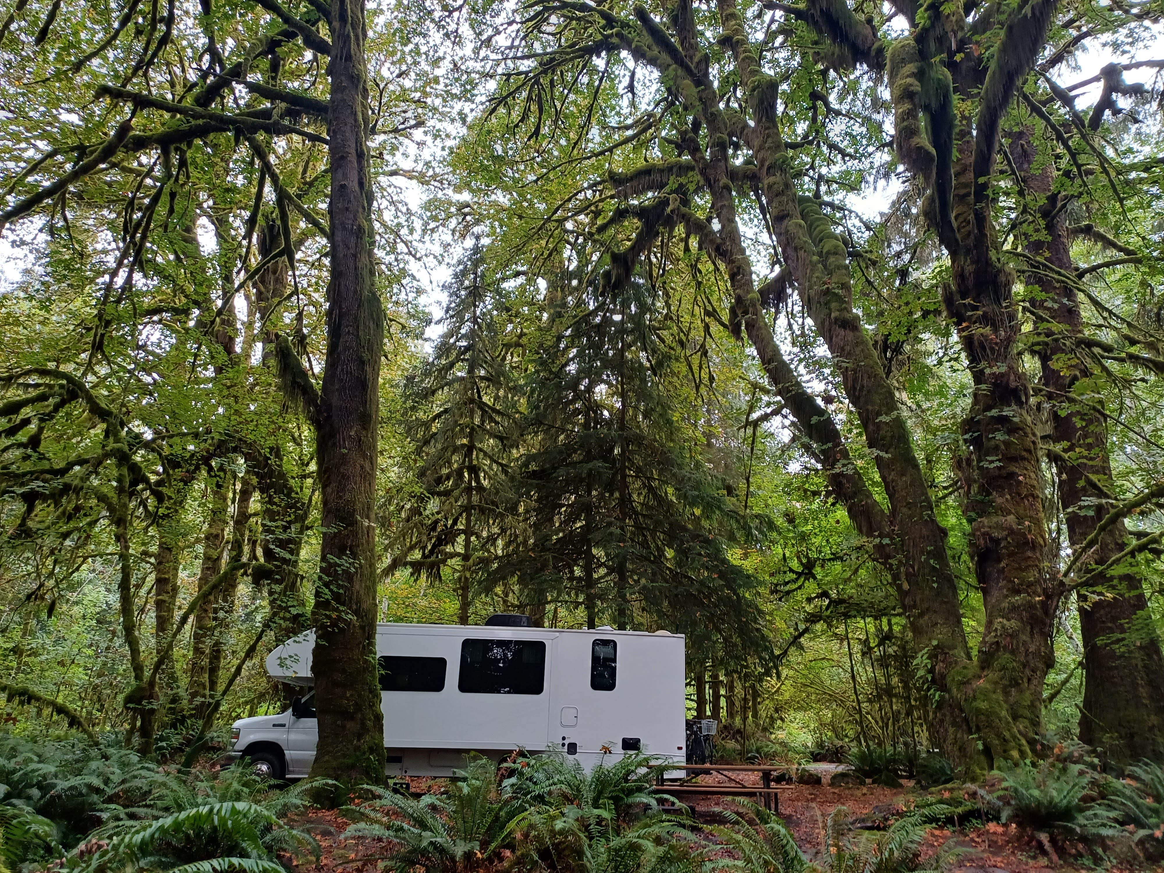 Laura M.'s photo of rv camping at Minnie Peterson Campground near Olympic National Park