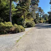 Review photo of Pomo RV Park & Campground by Michael C., October 1, 2024