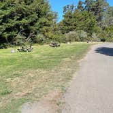 Review photo of Pomo RV Park & Campground by Michael C., October 1, 2024