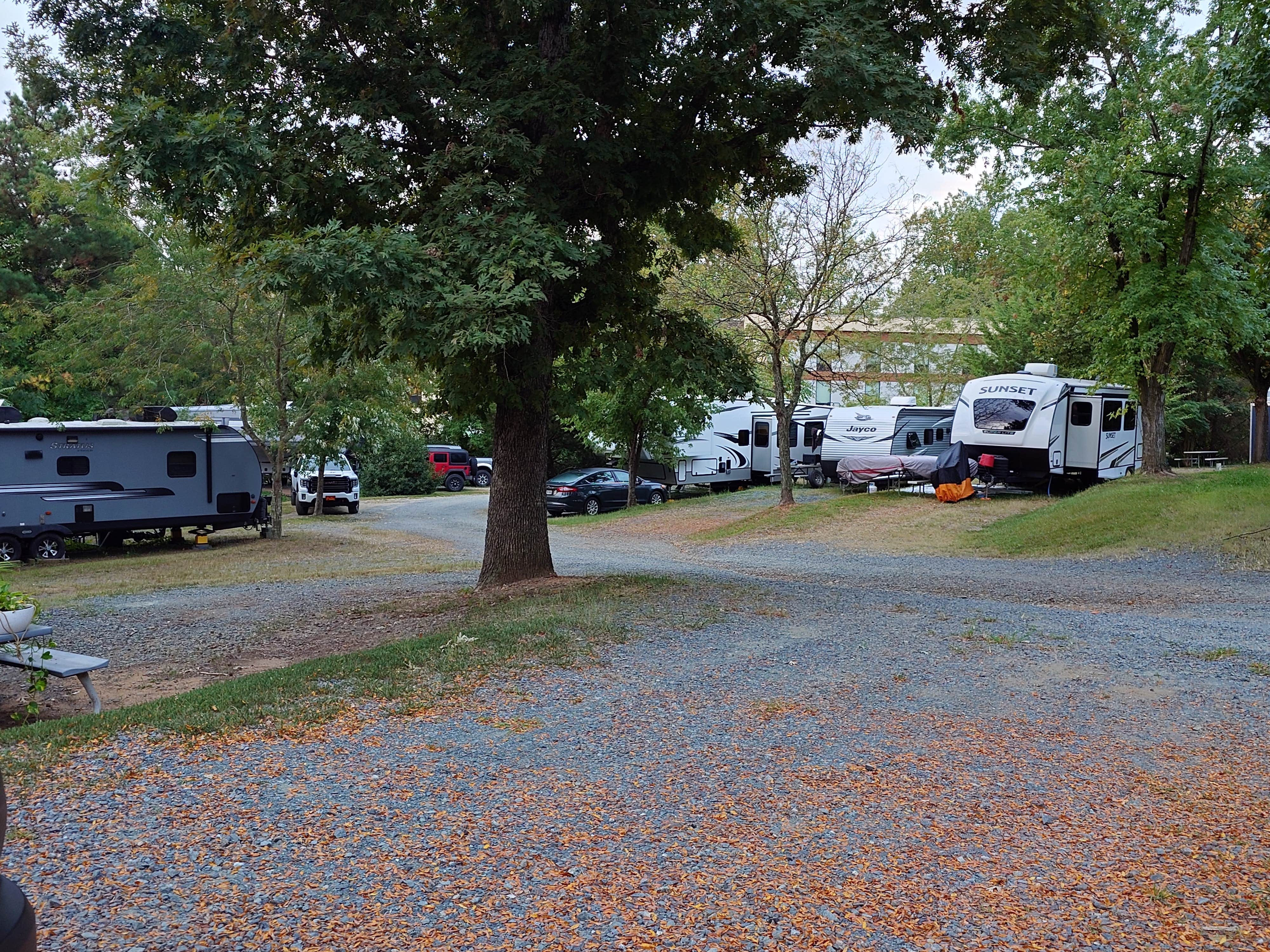 Camper submitted image from Aquia Pines Campground - 1