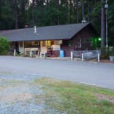 Review photo of Aquia Pines Campground by Zu Y., October 1, 2024